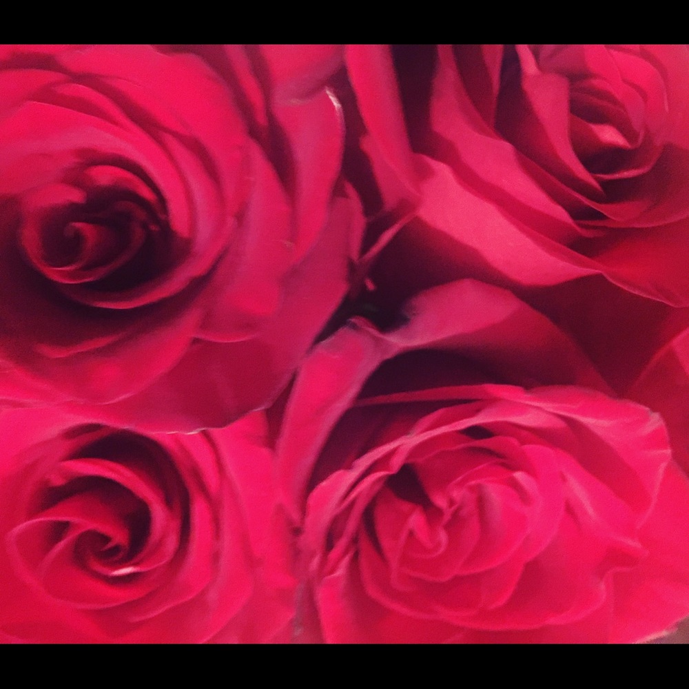 Meet your Posher, Sophia